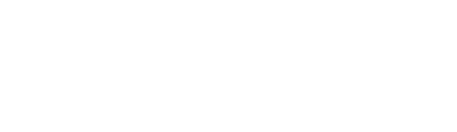 Provisor